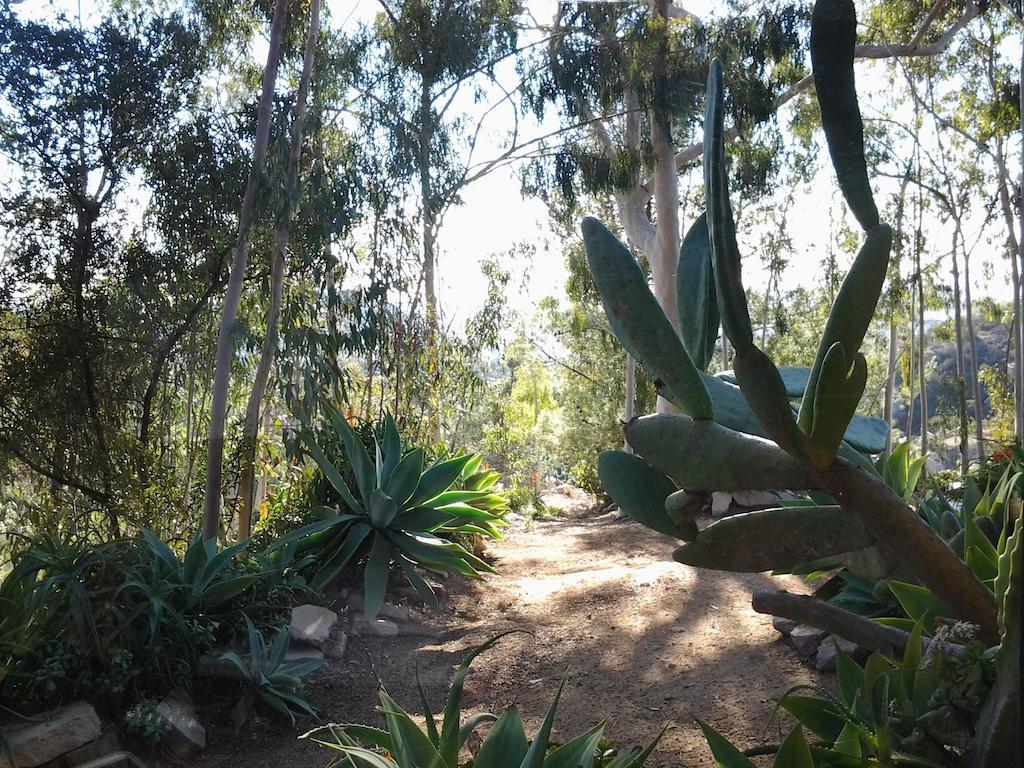 Rainbow Guest House Fallbrook Esterno foto