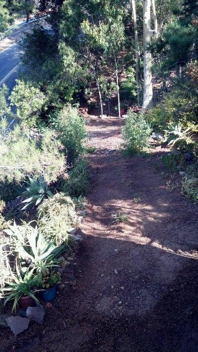 Rainbow Guest House Fallbrook Esterno foto