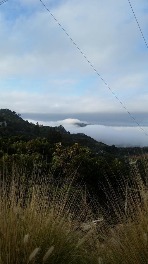 Rainbow Guest House Fallbrook Esterno foto
