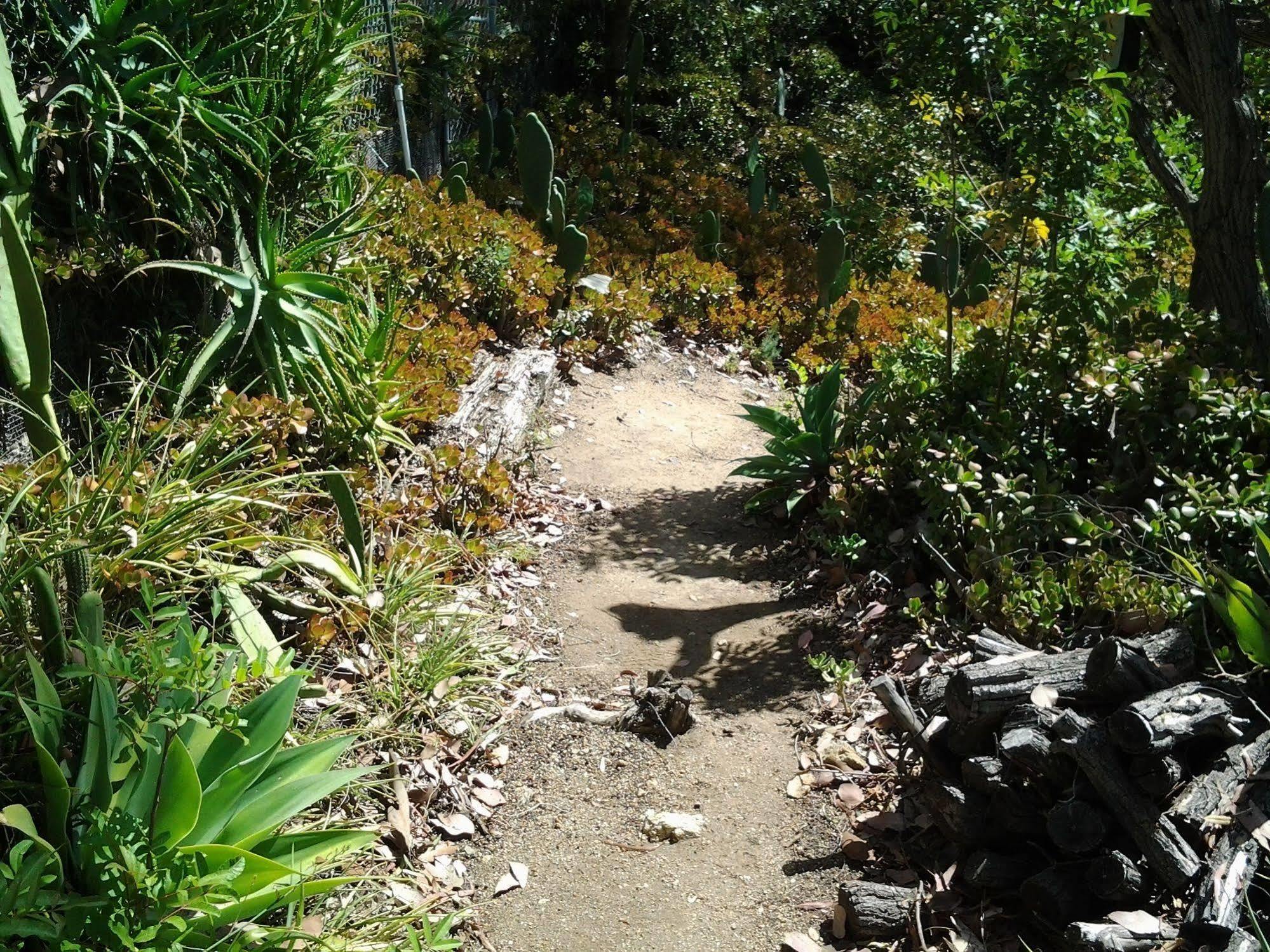 Rainbow Guest House Fallbrook Esterno foto