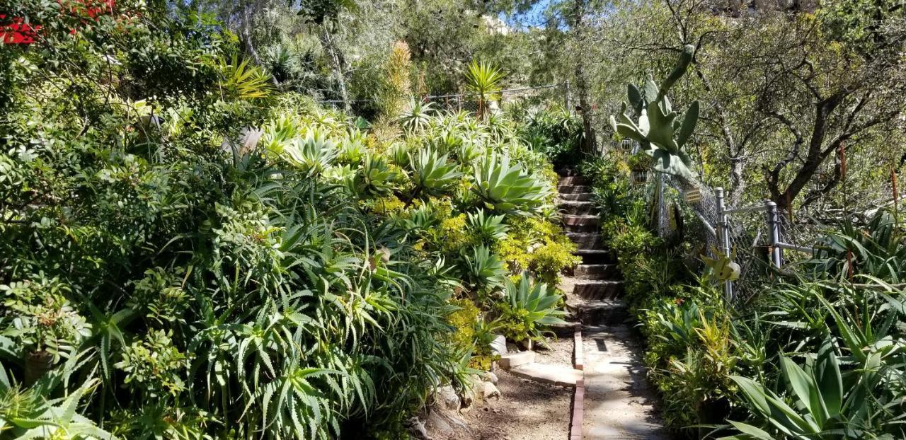 Rainbow Guest House Fallbrook Esterno foto